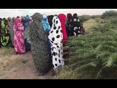 Saar Waamo Waxba Ka Dhacay