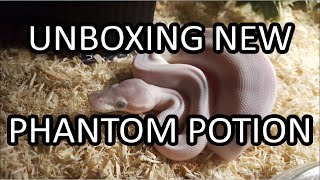 Unboxing New Phantom Potion