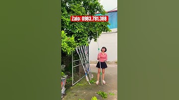 kéo cắt cành ghim giữ hoa quả hoá siêu rẻ, siêu tiện lợi