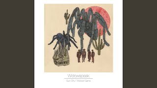 Gun Shy - Widowspeak