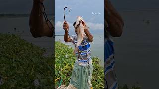 Throwing 5kg ketla fish bait to catch amazing monster - big fish #fishing #hook #bait