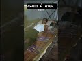 बरसात मे मच्छर. #shorts #trending #macchar #rat #gaon #barish #pani #comedy #igreach #entertainment