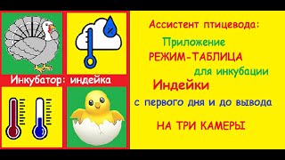 Программа режим таблица инкубации индюшек для смартфона на Android screenshot 1