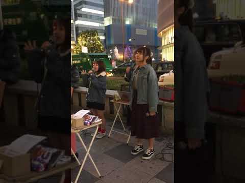 すし娘！