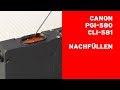 Canon PGI-580 CLI-581 Tintenpatronen nachfüllen Tintenfüllstand deaktivieren