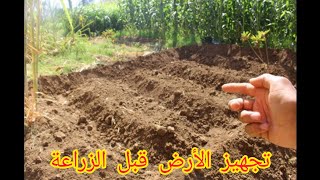 تجهيز الأرض قبل الزراعة ، قبل زراعة الخضروات في منزلك يجب اتباع الخطوتين حتى تكون الزراعة ناجحة