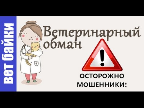 Ветеринарный обман в действии. Советы ветеринара