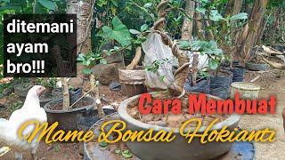 Cara Membuat Mame Bonsai Hokianti Bagi Pemula
