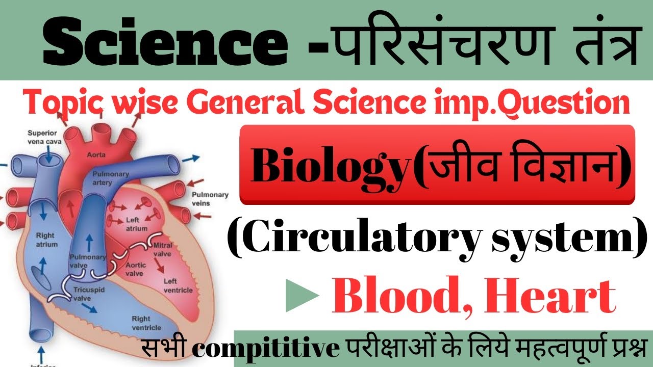 circulatory-system-in-hindi-structure-of-heart-heart