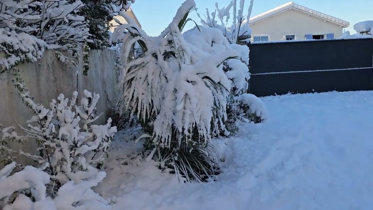 Hortis Viridios sous la neige
