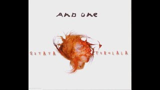 And One - Farrah Es (Bonus)