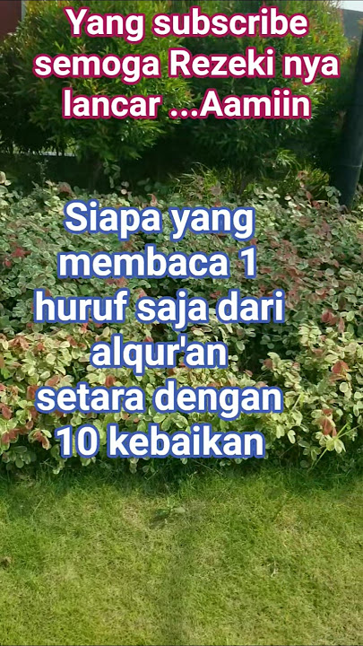 alqur'an begitu dahsyatnya