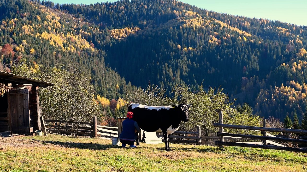 Радостная жизнь настоящих горцев. Простое счастье в отдаленных горах