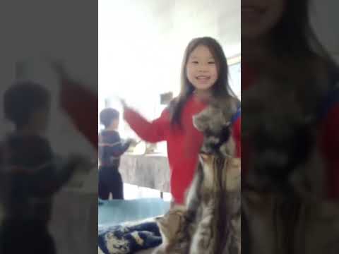 ۱ دسامبر ۲۰۲۵