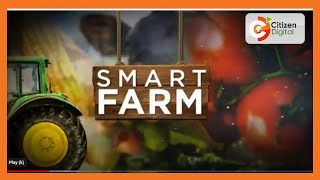SMART FARM | Focus on snail farming in Nakuru