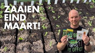 Wat Zaaien Eind Maart? Deze Groenten Mag Je Nu Zaaien De Moesketier