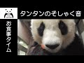 タンタンのそしゃく音