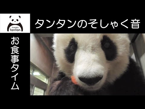 タンタンのそしゃく音