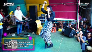 CANTIKA MUSIC - GATAL GATAL - BUNGA PERMATA - WEDDING ARIZ & PUTRI PIJI POJOK DAWE KUDUS