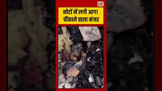 Delhi Fire Accident | नोटों में लगी आग! चौंकाने वाला मंजर | #viralvideo #viralnews #shorts