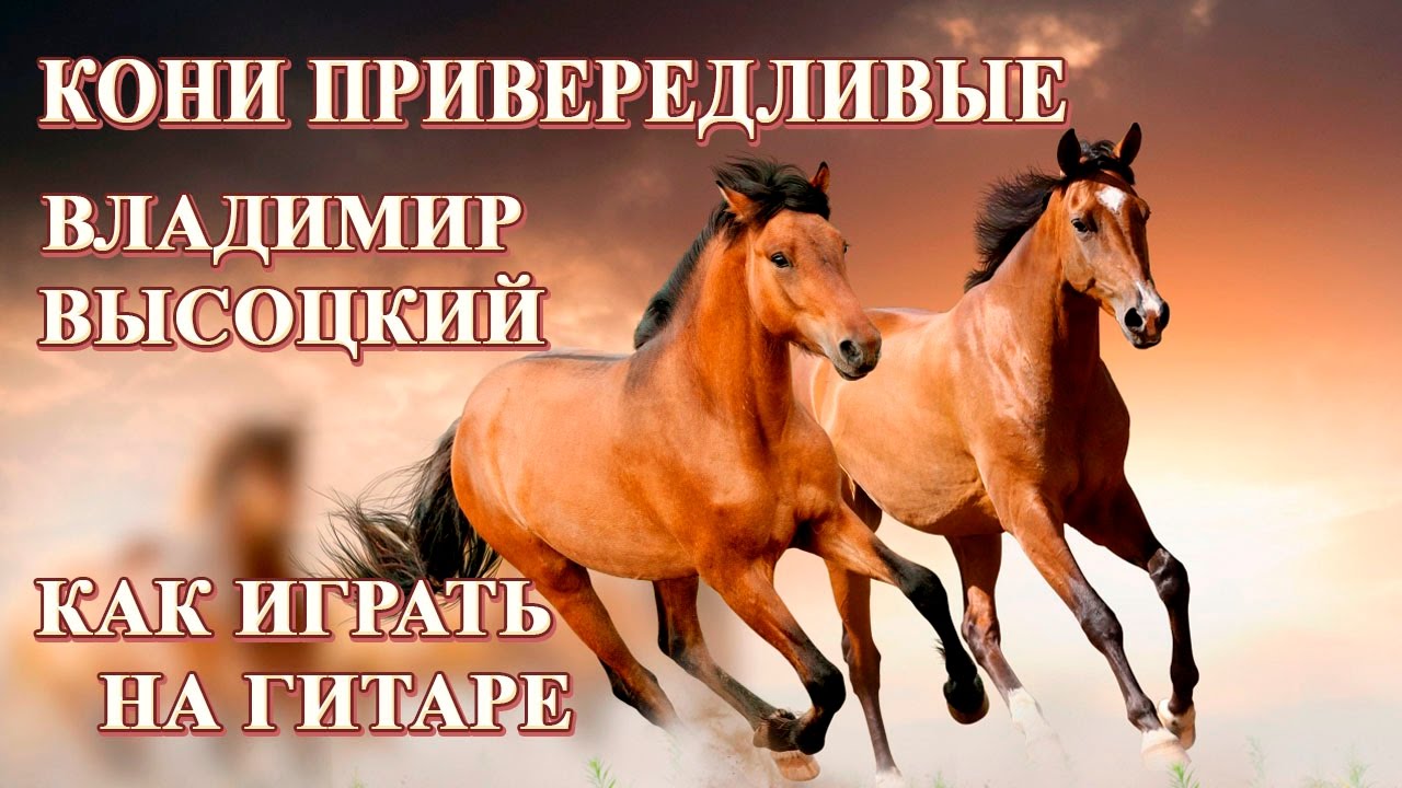 Кони Привередливые Владимир Высоцкий Аккорды | Как играть на гитаре ...