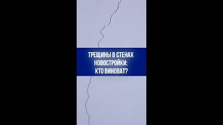 Трещины на стенах новостройки: что делать, если застройщик будто исчез?
