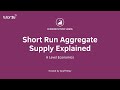 Aggregate Supply - Explaining Short Run Aggregate Supply I A Level and IB Economics