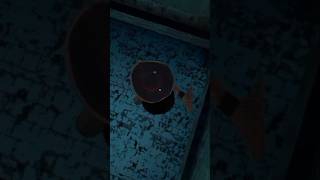 Jumping on granny chapter 1 Halloween mod granny ko chakma de diyaa #granny #viralvideo #viralshort