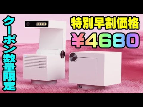 31355253_4
