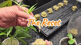 S2:E1 - The Reset with Pineapple Chunk 🍍