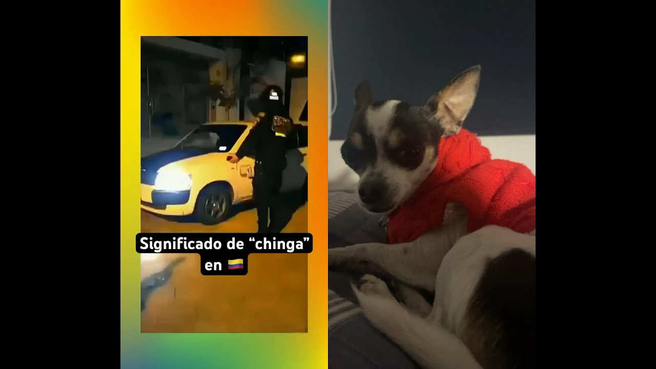 Significado de chinga en algunos países 😎🍷🫡 - YouTube