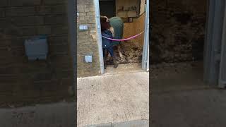 Ad ref 248224    Video 2