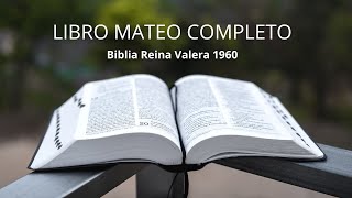 SAN MATEO - LIBRO COMPLETO - BIBLIA HABLADA - REINA VALERA 1960 screenshot 5