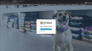 Customizing the Developer Portal for Gloo API Gateway Wealth