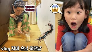 vlog 지네소탕 작전 😱😱😱라임이네 일상 브이로그 12시간 | 비빔면 먹방과 마인크래프트 쇼핑 | centipede eradication campaign screenshot 5