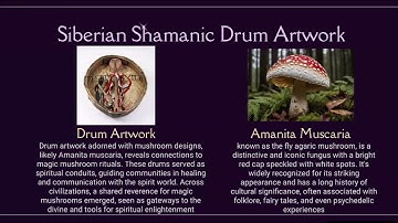 HUMS 150B1 Signature Assignment - Final Project Video Documentary By Max Franco