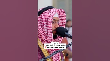 دع أصابعك تشهد لك اكتب شيء تؤجر عليه #القارئ #احمد_النفيس #الحمدلله #لا_اله_الا_الله #سبحان_الله