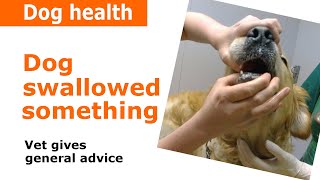 If your #dogswallowedsomething and its stuck in his throat - vital to
get help from vet. this video, golden retriever sam has been taken the
v...