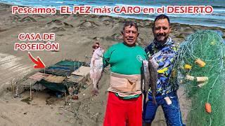 ¡INCREÍBLE HABILIDAD de este PESCADOR de 67 AÑOS apodado "POSEIDÓN" 🌊🐟!