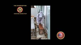 INTERCEPTOR HONEYBEE SWARM TRAP TRANSFER