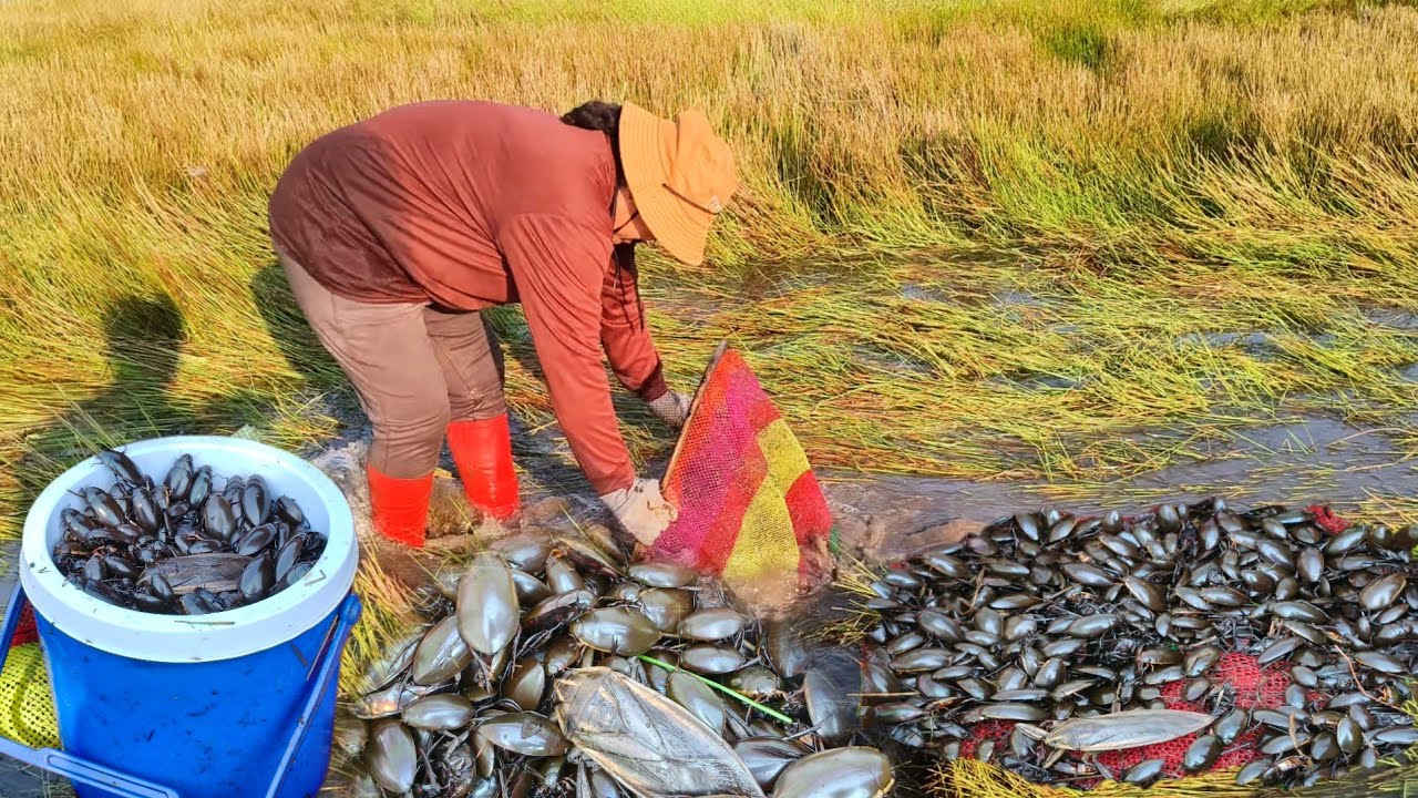 ป้าด!!ๆๆลงบึงหาส่อนหมายอ่างบ้านบกรอบนี้โครตหมานแมงตับเต่าแมงดาจนไม่มีที่ใส่ได้ใส่ถุง 16/มค/69