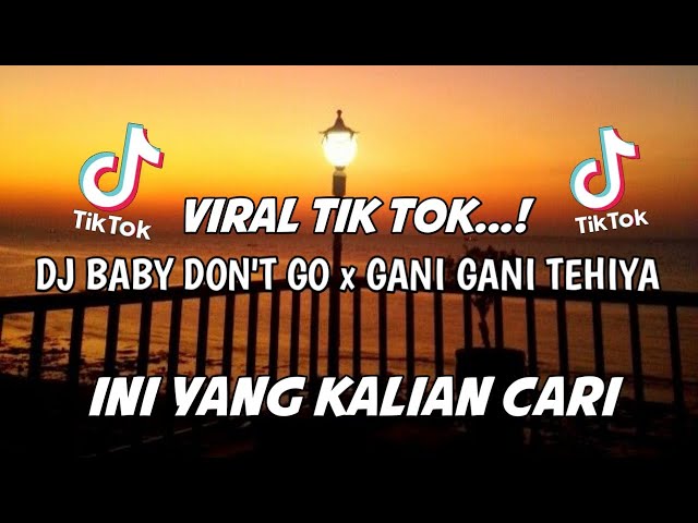 DJ BABY DON'T GO x GANI GANI TEHIYA TIK TOK VIRAL YANG KALIAN CARI class=