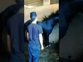 الله عليها ترابي