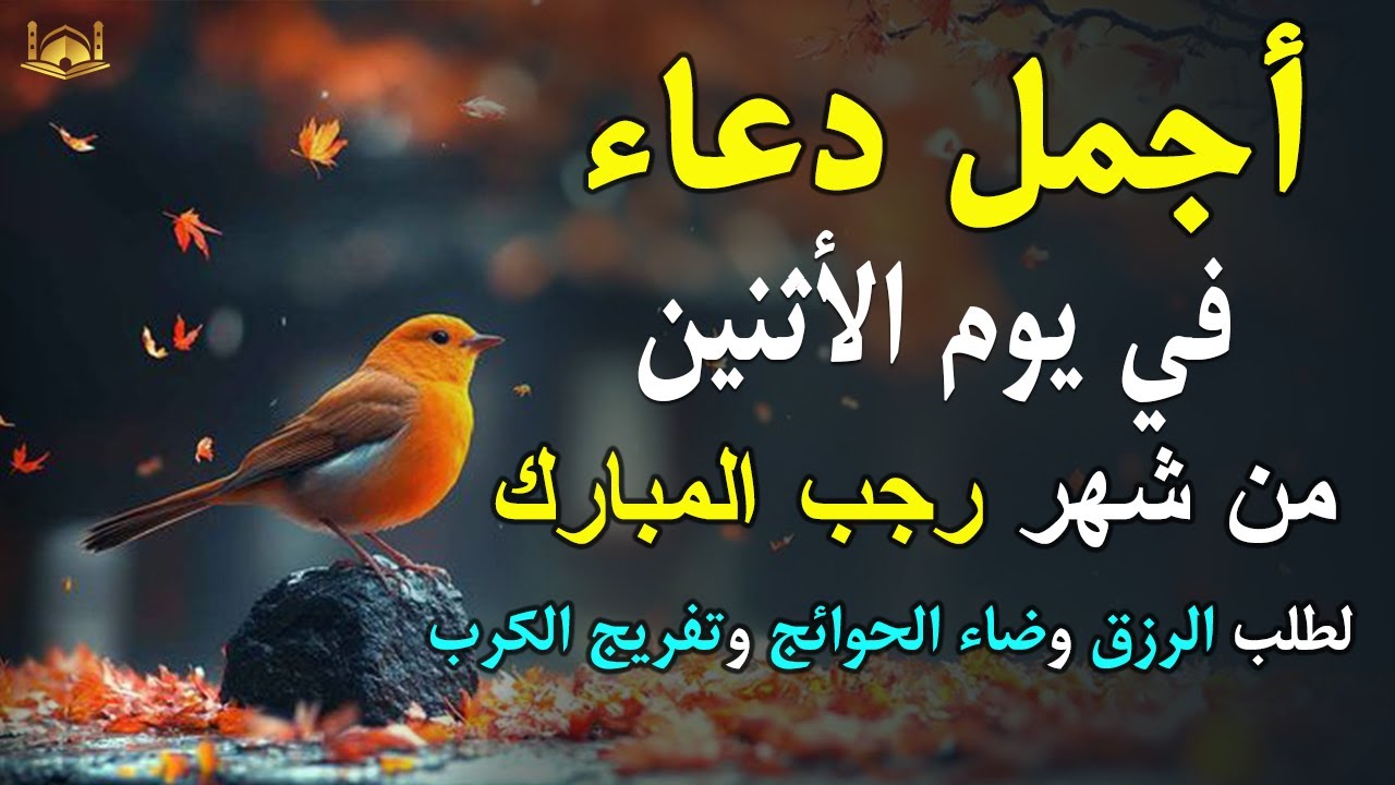 دعاء فى يوم الجمعة المستجاب دعاء يوم 27 من شهر رجب للرزق والشفاء العاجل وقضاء الحوائج 🤲(4k)