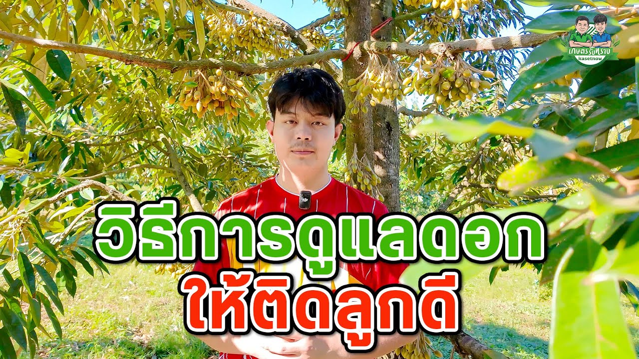 อยากให้ลูกติดดีต้องดูแลและบำรุงอย่างไรบ้าง