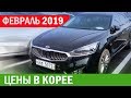 Цены в Корее. Февраль 2019. Отзыв Advisor-auto