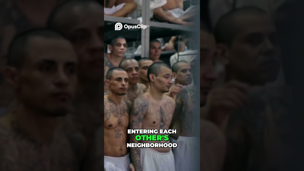 Inside Gang Life  Barrio 18 & MS 13 Together!