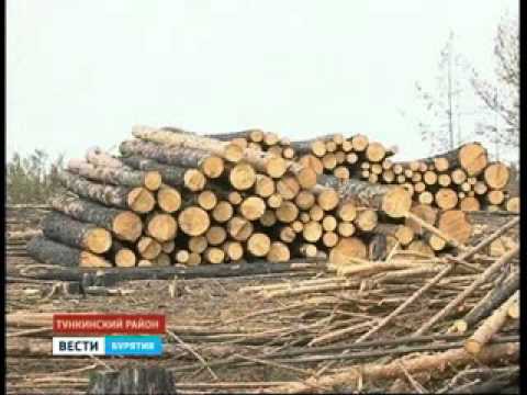 Люди, живущие на земле Бурятии, не имеют прав регистрировать, продавать или покупать земли