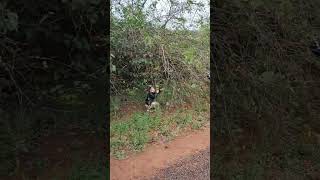 các bạn hạnh phúc ăn trái dâu #shorts