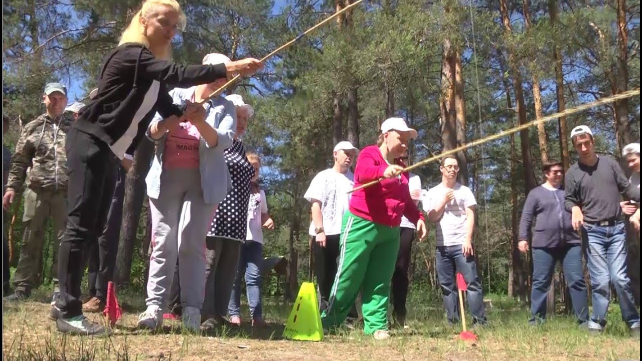 Арди Свет Новогодняя Арди Свет Новогодняя